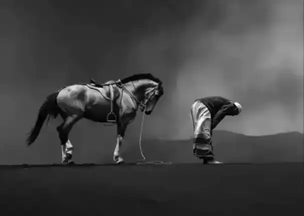 马低头为了吃草 人低头为了赚钱 收摊了 明天继续#一人一马一 - 抖音