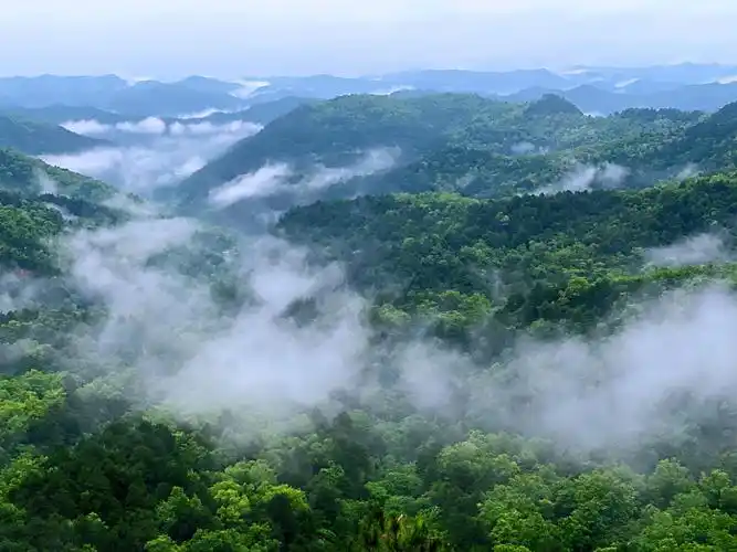 黄陵国家森林公园现云海仙境