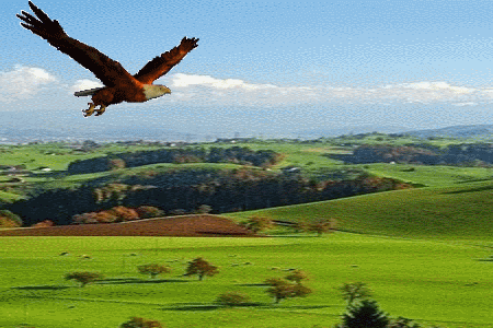 450_300gif 动态图 动图