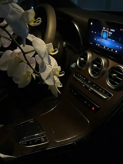 在车里享受一个人的浪漫