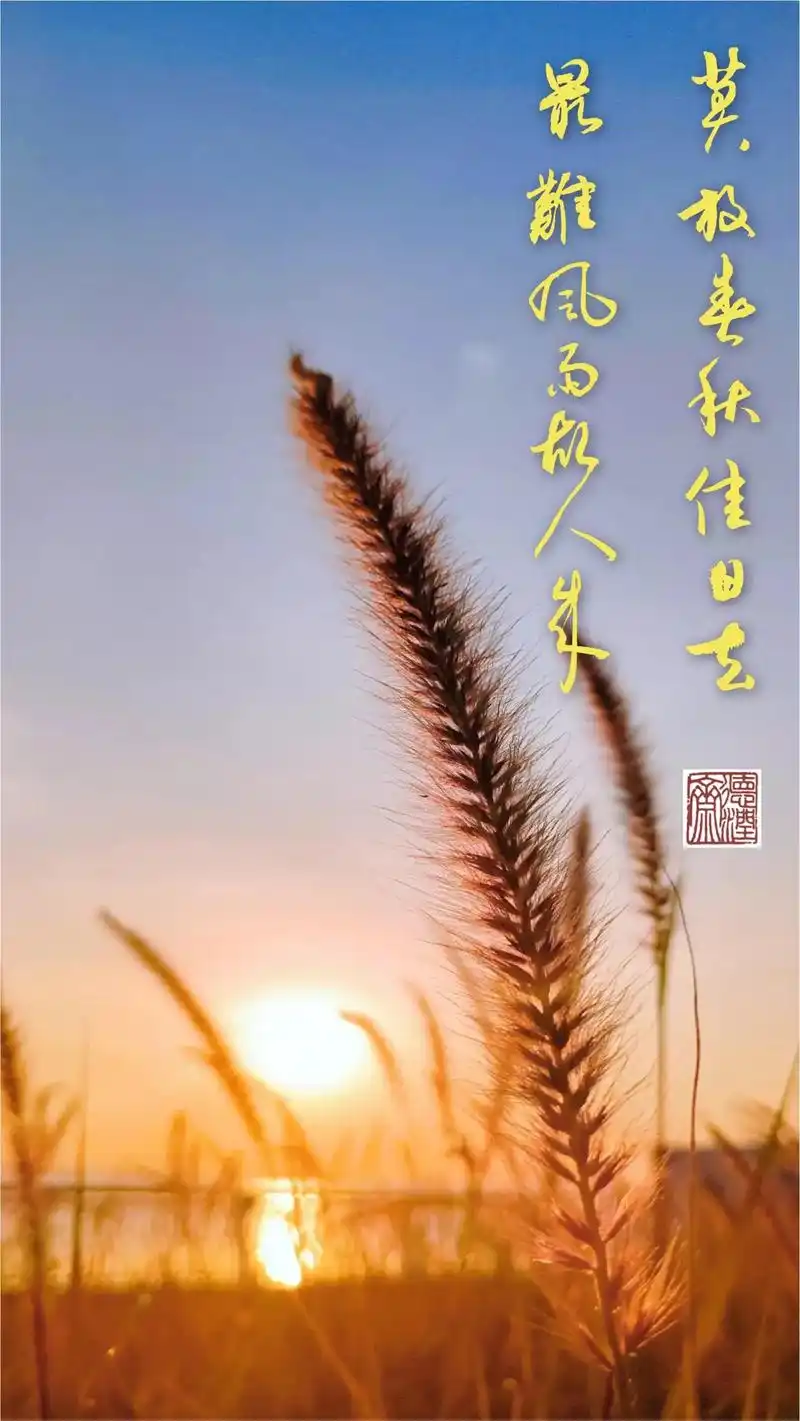 最美壁纸#唯美意境 #愿一切美好与你相伴 #见者好运 #汉 - 抖音