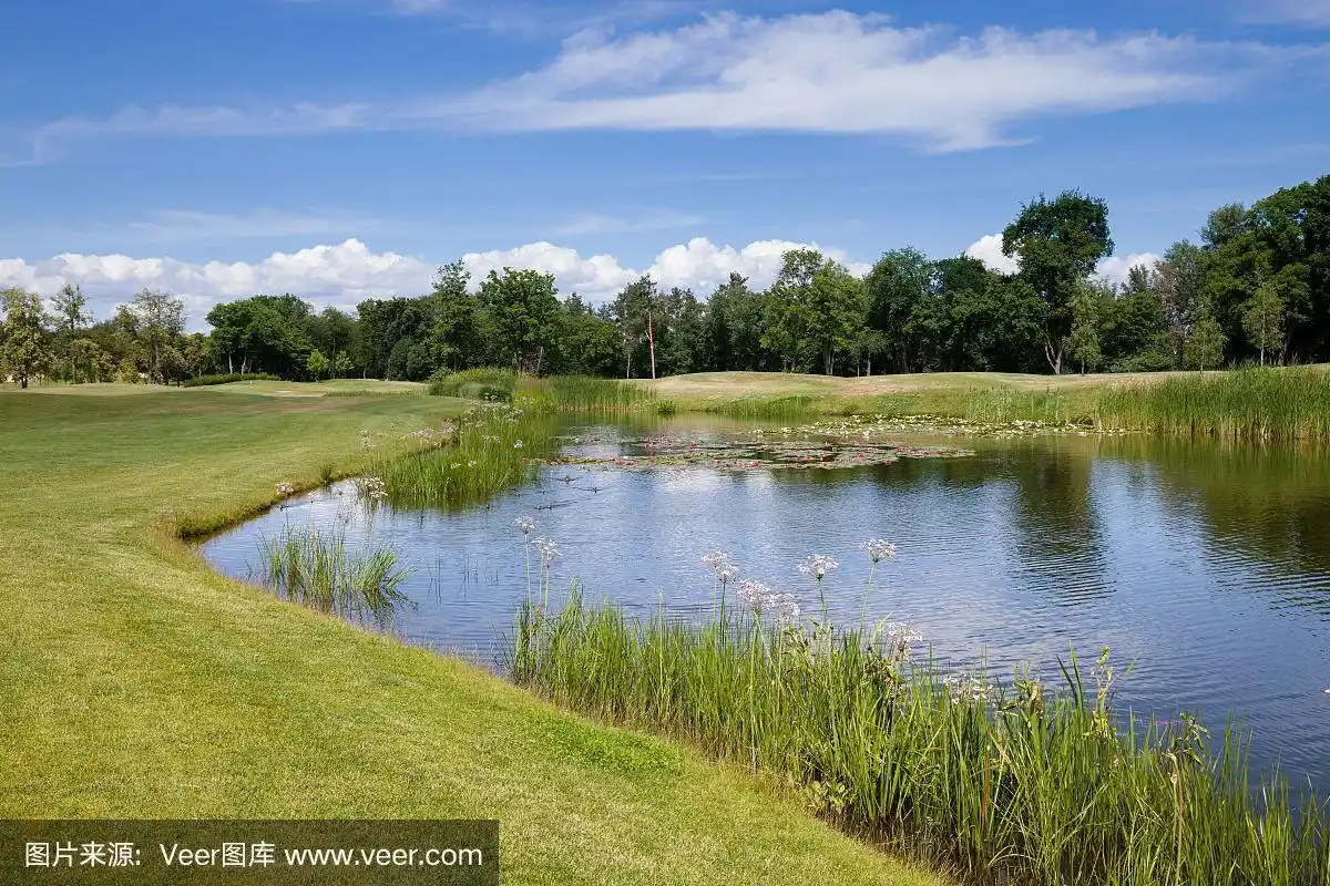 湖和绿色的草地在城市公园