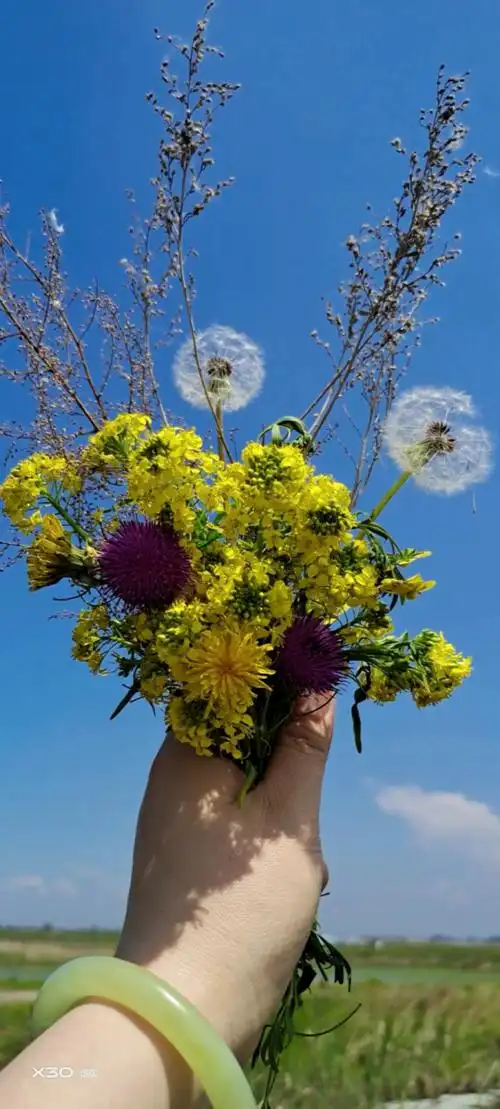 老婆拿着一束在田边采的95问:小野花漂亮吗?我该怎么回答好呢?