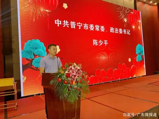 中共普宁市委常委,政法委书记陈少平发言