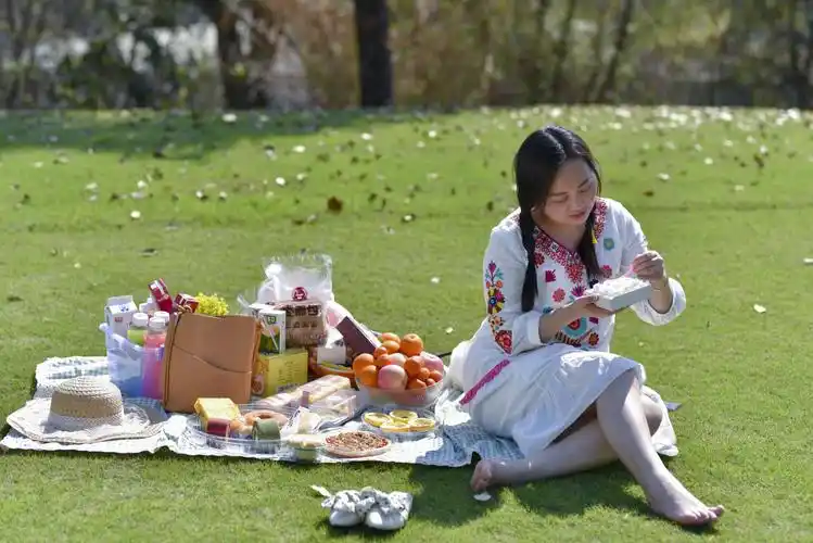 春风暖阳,去野餐吧!