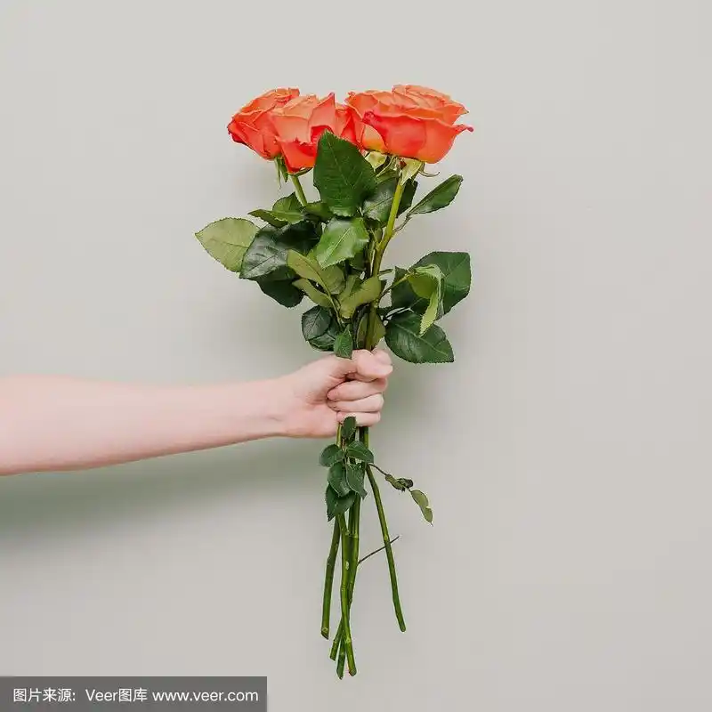女人的手里拿着一束红玫瑰.花茎长,绿叶红芽.节日或纪念日贺卡.