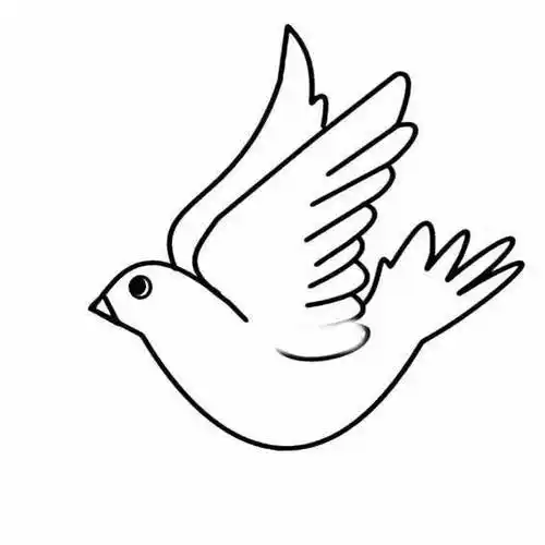 和平鸽图片简笔画 2022年和平鸽图片简笔画 彩色