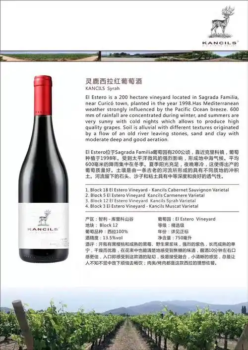 智利红酒份什么等级智利红酒等级是如何划分的