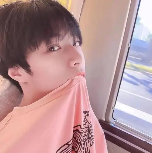 微信头像刘耀文