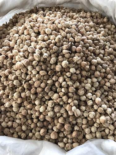 白寇 白蔻仁白豆寇 白扣豆蔻 白蔻 香料调料大全卤菜卤肉火锅50g