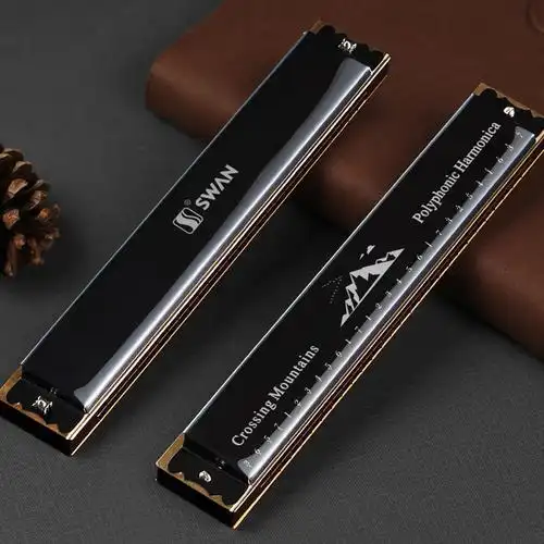 天鹅28孔口琴初学者小学生入门儿童c调复音重正品风专用男士乐器