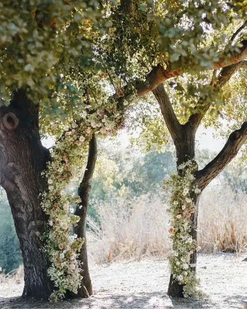 开满花的树荫夏天的一切都容易心动