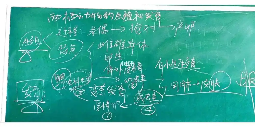 分钟不到上完了课(好好备课真的会使课堂又高效又有序)开心#初中生物