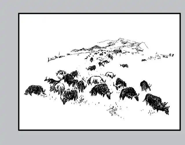 若尔盖草原钢笔素描