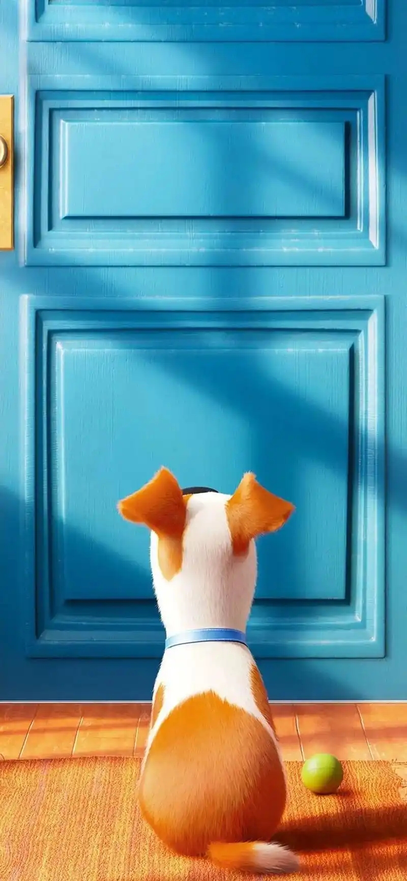 爱宠大机密.#爱宠大机密2 #手机壁纸 #锁屏壁纸 - 抖音