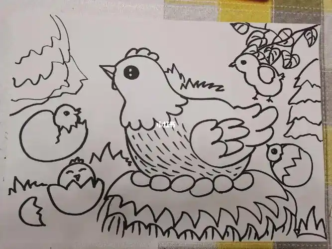 儿童简笔画打卡d20天母鸡孵小鸡