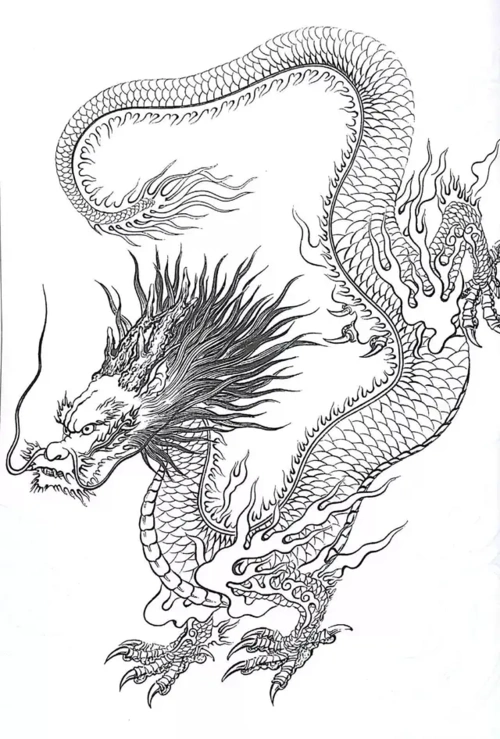 中国龙白描欣赏二0202学习的最佳范本