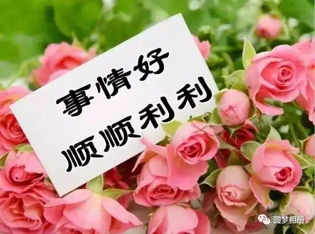 寓意吉祥,能为主人带来好运今天是一年中最好运的日子一大波锦鲤即将