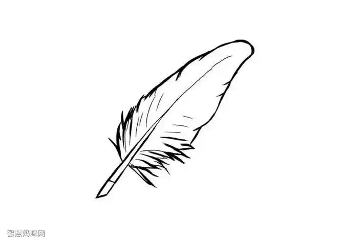 鸡毛简笔画黑白