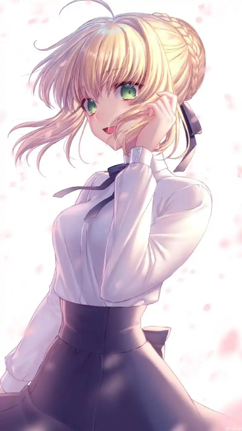 fate系列壁纸:fate妹纸大派发