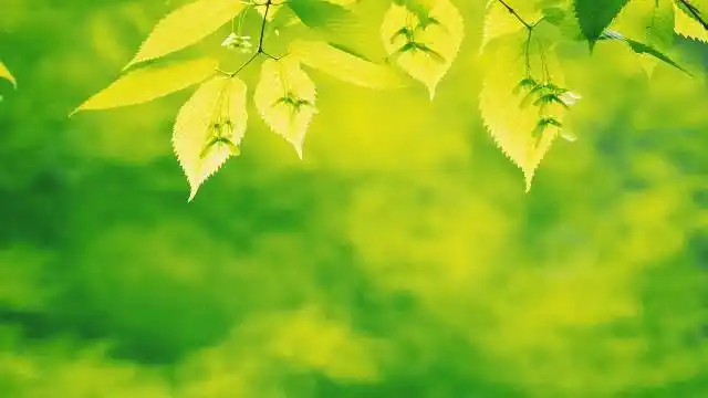 唯美舒心励志的句子,简短洋气,读了好几遍