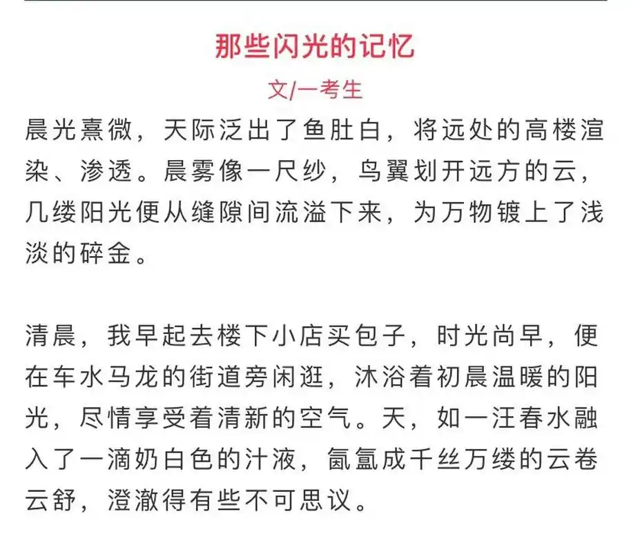 中考满分作文丨《那些闪光的记忆》 《那些闪光的记忆》