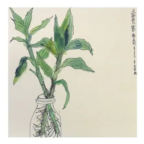 作品——《富贵竹》