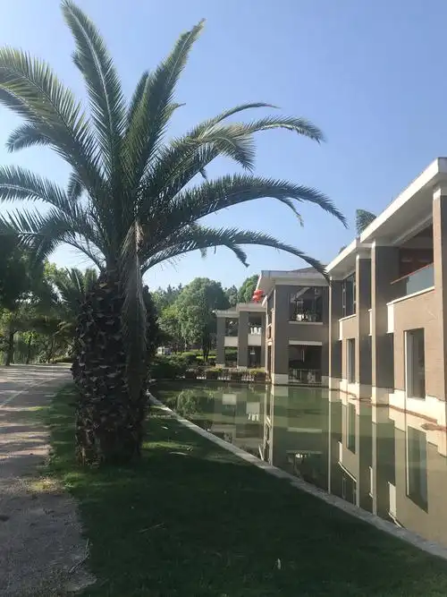 弥勒湖泉半山温泉留影