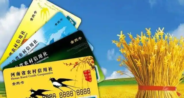金燕卡是什么卡