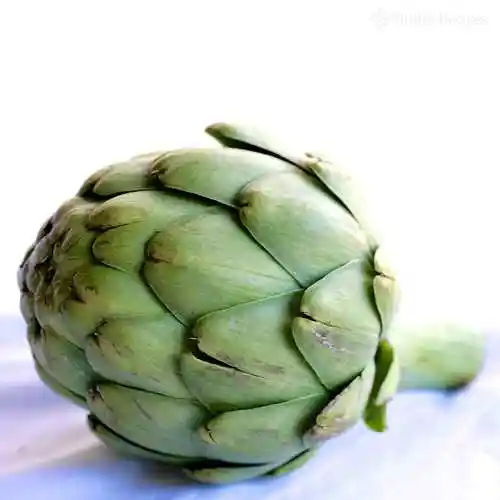 high quality fresh,frozen & dried artichoke for sale