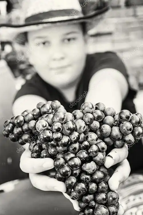 名称:年轻滑稽的男孩摆了串葡萄在手中,黑色和