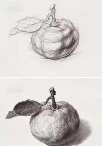 石家庄画室:单个素描静物首先要吃透它的结构和质感