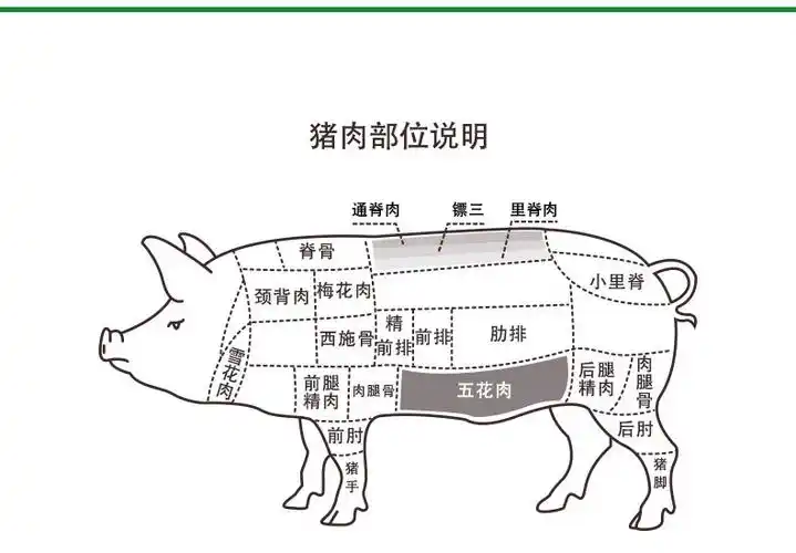 产地货源进口级猪肉烧烤精装冰鲜五花肉片中方肉食品10kg五花肉