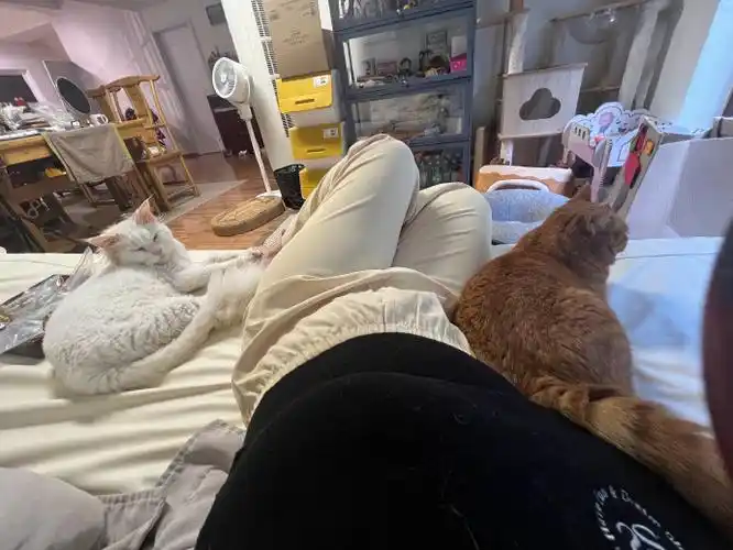 当你躺在沙发上