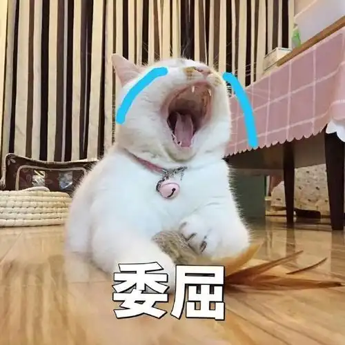 萌宠喵星人委屈想哭憨憨可爱gif动图_动态图_表情包下载_soogif