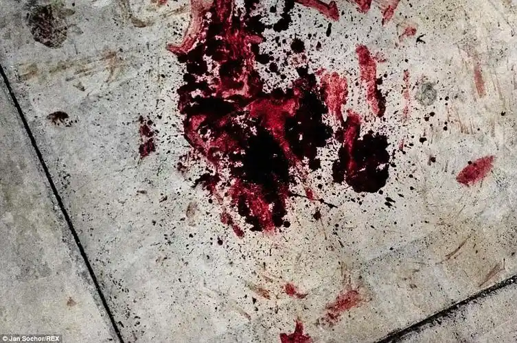 直击拉美贫民窟里的黑社会