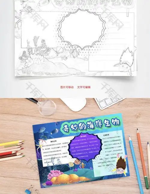 海螺和贝壳的手抄报 手抄报简单又好看-蒲城教育文学网