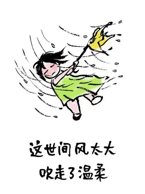 关于被大风刮跑的图片搞笑的图片及评论