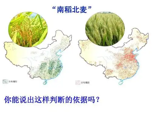 植物的生活需要水和无机盐ppt