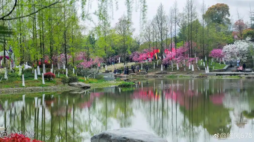 皋亭山千桃园桃花己经大面盛开啦,而且还有美食节