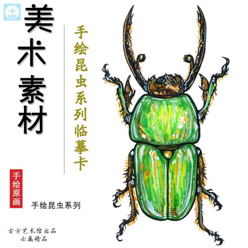 手绘昆虫系列创意个性临摹卡马克笔绘画儿童画重彩铅画室美术培训