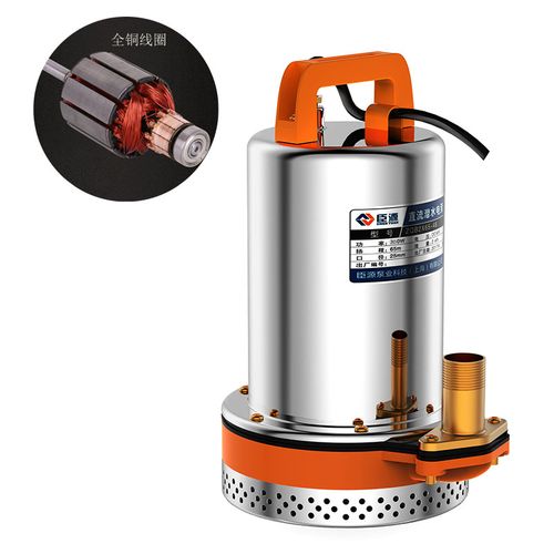 臣源电瓶扬程高扬程水泵抽水12v24v直流小型农用水泵