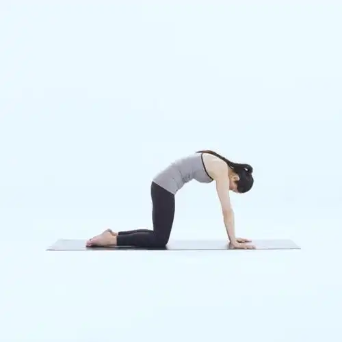 蜥蜴式瑜伽动作正确教程是怎样的规律锻炼下可以获得哪些好处