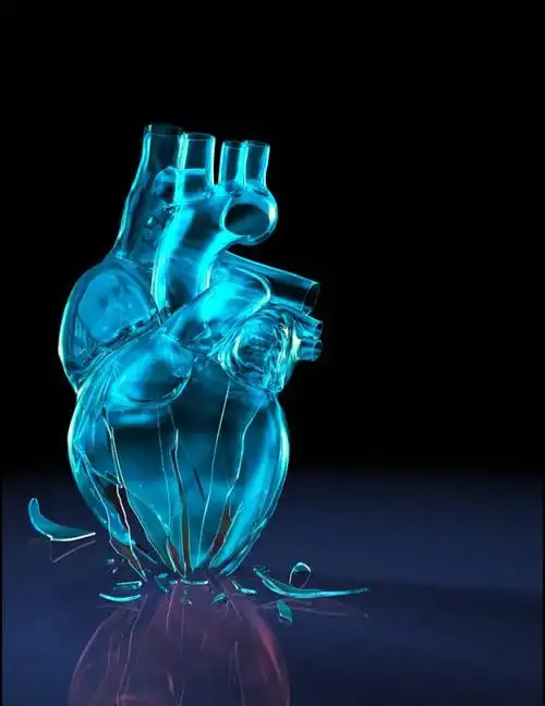 [资料]几张心脏美图