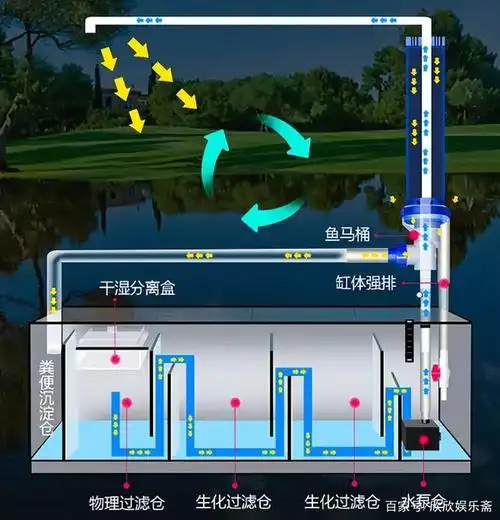 探讨鱼缸的过滤系统,以及硝化细菌是否需要每次换水都添加!