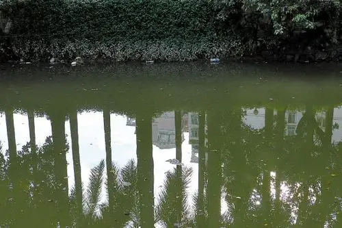 我们接到通知,说欠五大金融机构近4亿元债务终于还清了,房产证将获