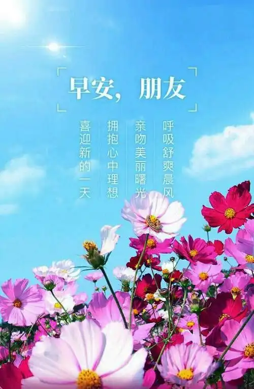 美好的一天从早晨开始,早上好!我的朋友.