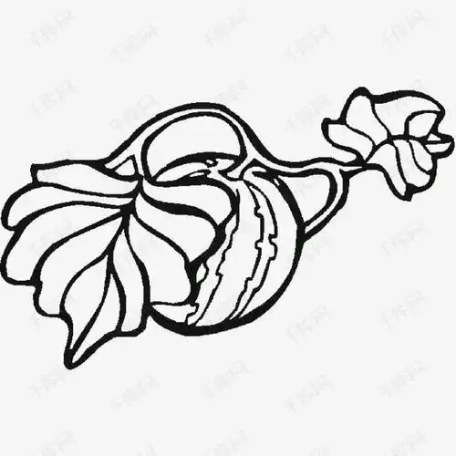 挂在藤上西瓜简笔画