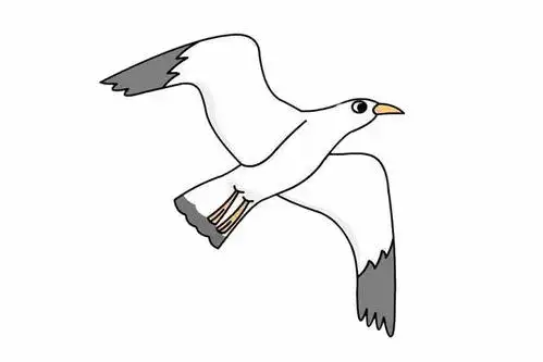 海鸥简笔画图片大全 教程海鸥简笔画怎么画海鸥飞翔简笔画儿童海鸥简