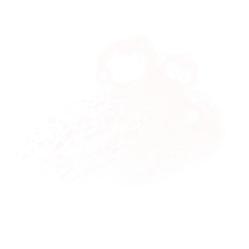 透明的泡泡图片大全